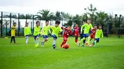 林书豪赞孙杨：与他同场竞技倍感荣幸 孙杨展望：希望进球更多